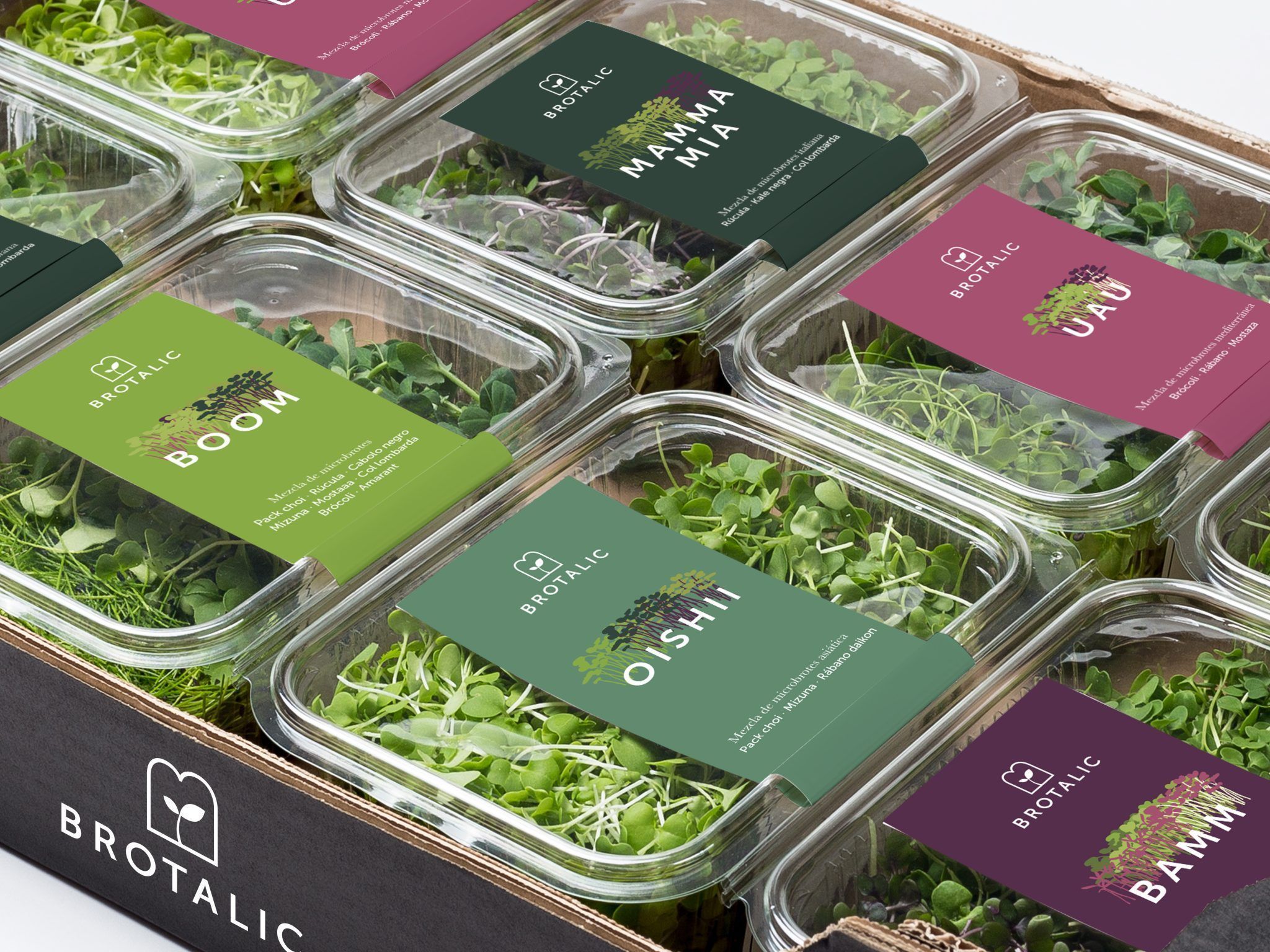 brotalic caja diseño packaging veralidad studio