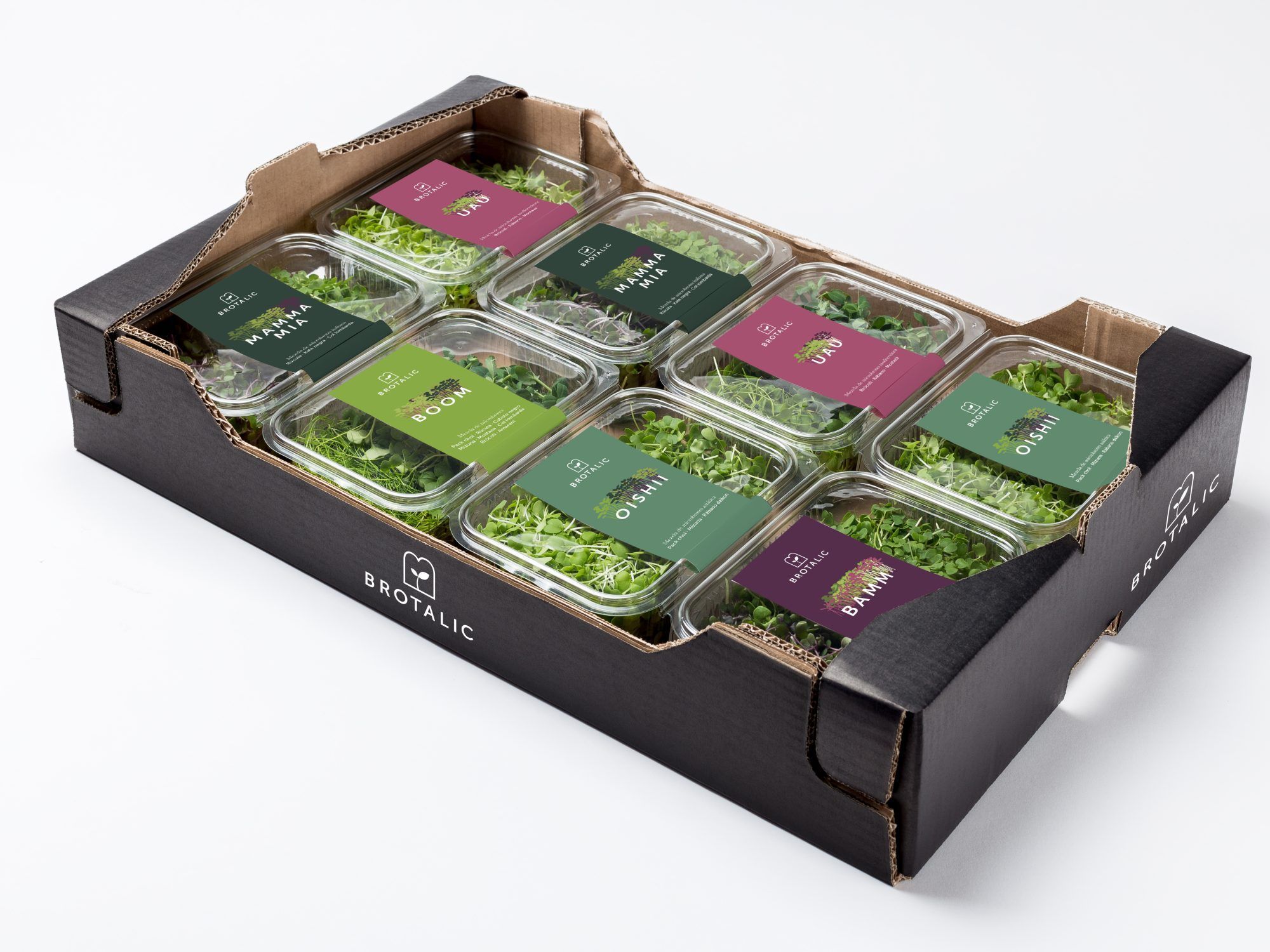 brotalic caja diseño packaging veralidad studio