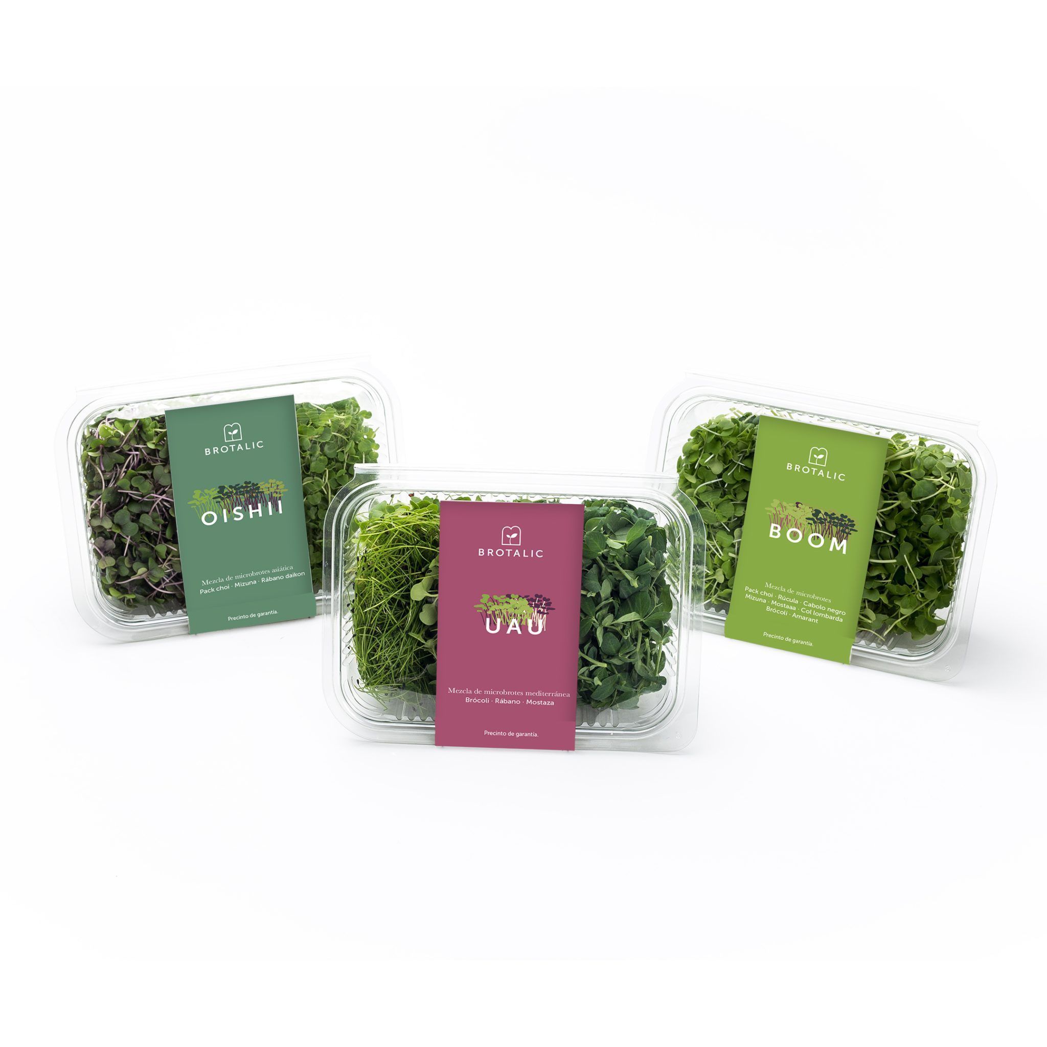 brotalic caja diseño packaging veralidad studio