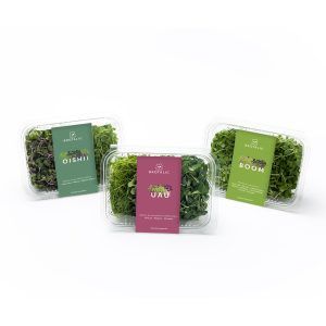 brotalic caja diseño packaging veralidad studio