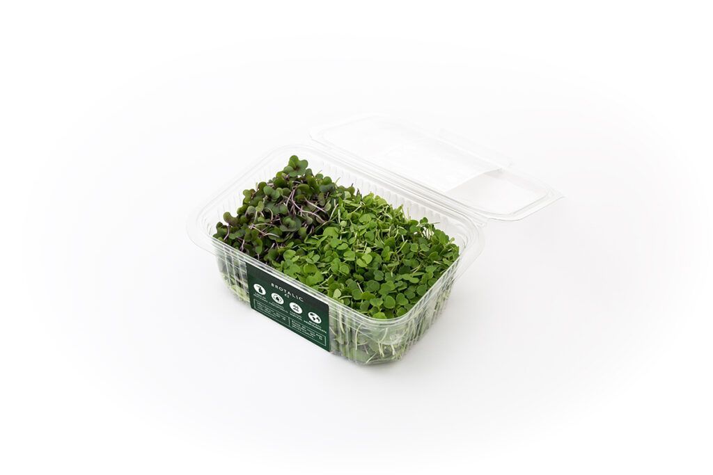 brotalic caja diseño packaging veralidad studio