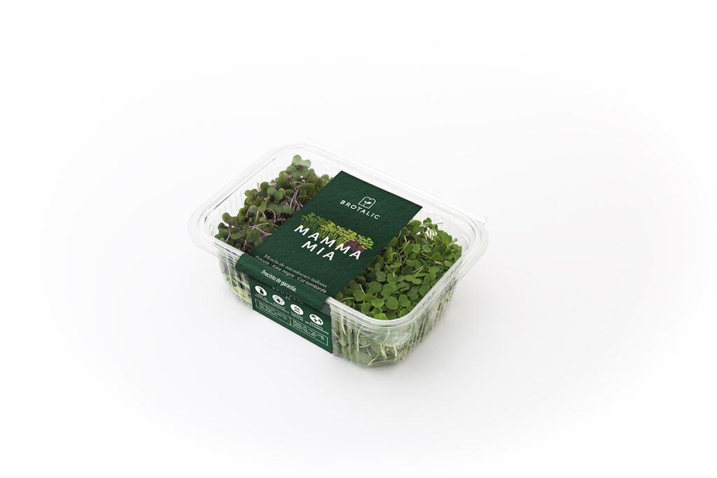 brotalic caja diseño packaging veralidad studio