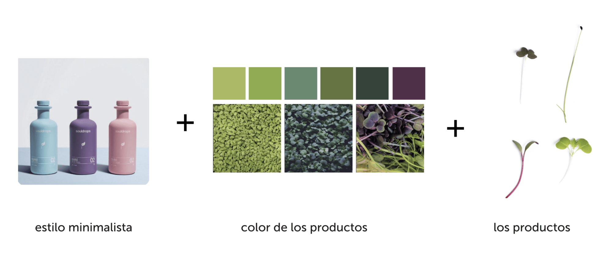 concepto rediseño diseño packaging brotalic veralidad studio minimalismo color productos brotes germinados moderno