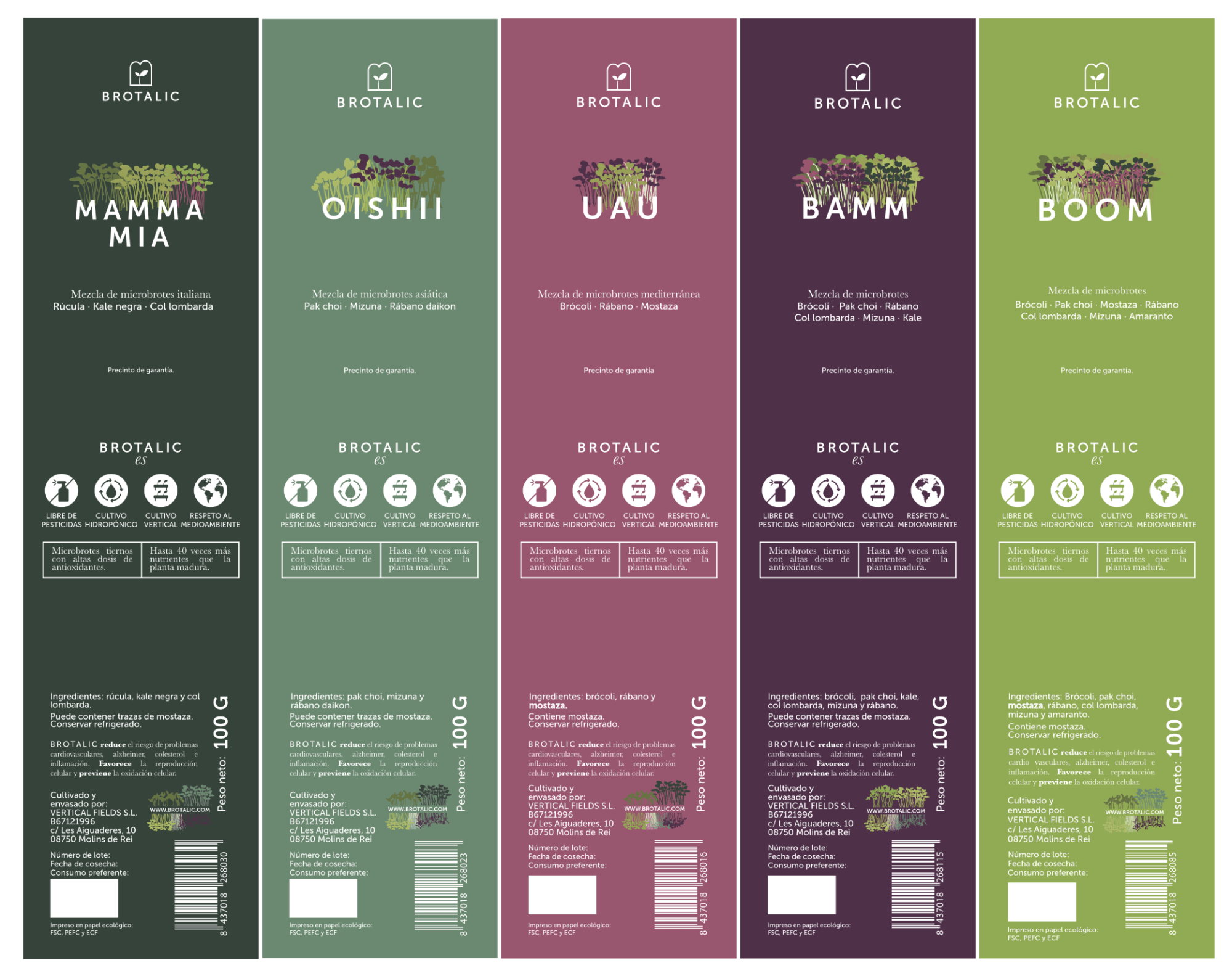 rediseño de packaging nuevo todo color colores producto germinados brotes brotalic veralidad studio germinados etiquetas adhesivas diseño