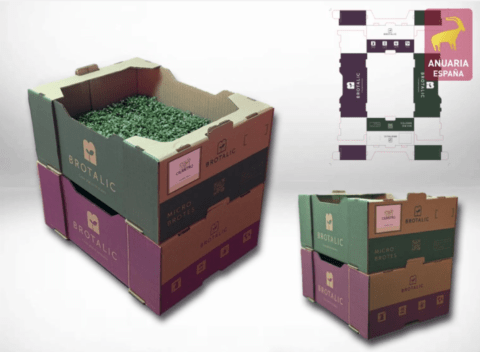 caja box anuaria premio oro brotalic miscelania veralidad studio diseño packaging caja envio tienda online