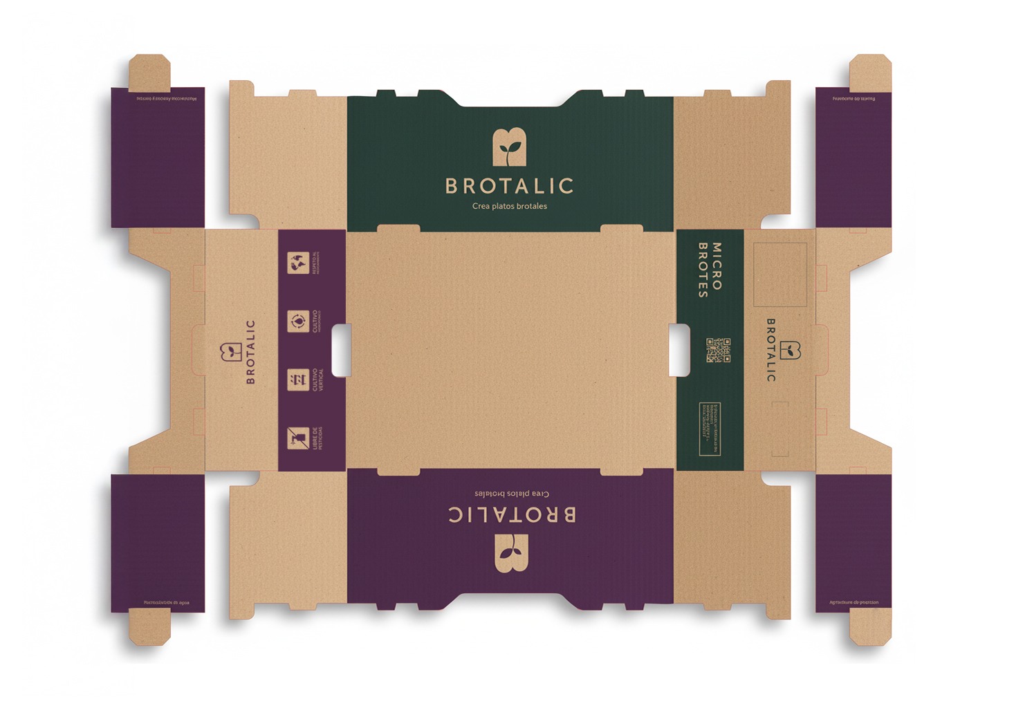 caja ecommerce brotalic diseño box design envio tienda online premios oro arcapack anuaria latampack veralidad studio
