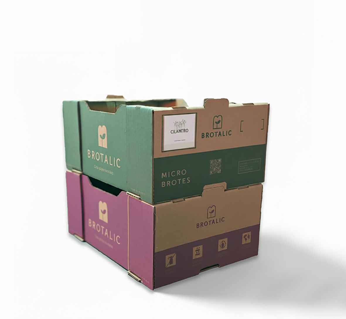caja logistica ecommerce envios diseño packaging box veralidad studio anuaria word best latampack arcapack ganador oro 02