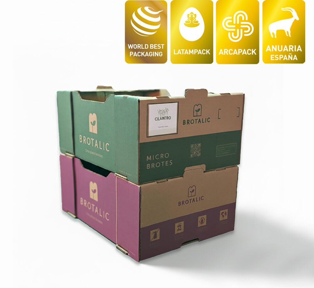 caja logistica ecommerce envios diseño packaging box veralidad studio anuaria word best latampack arcapack ganador oro