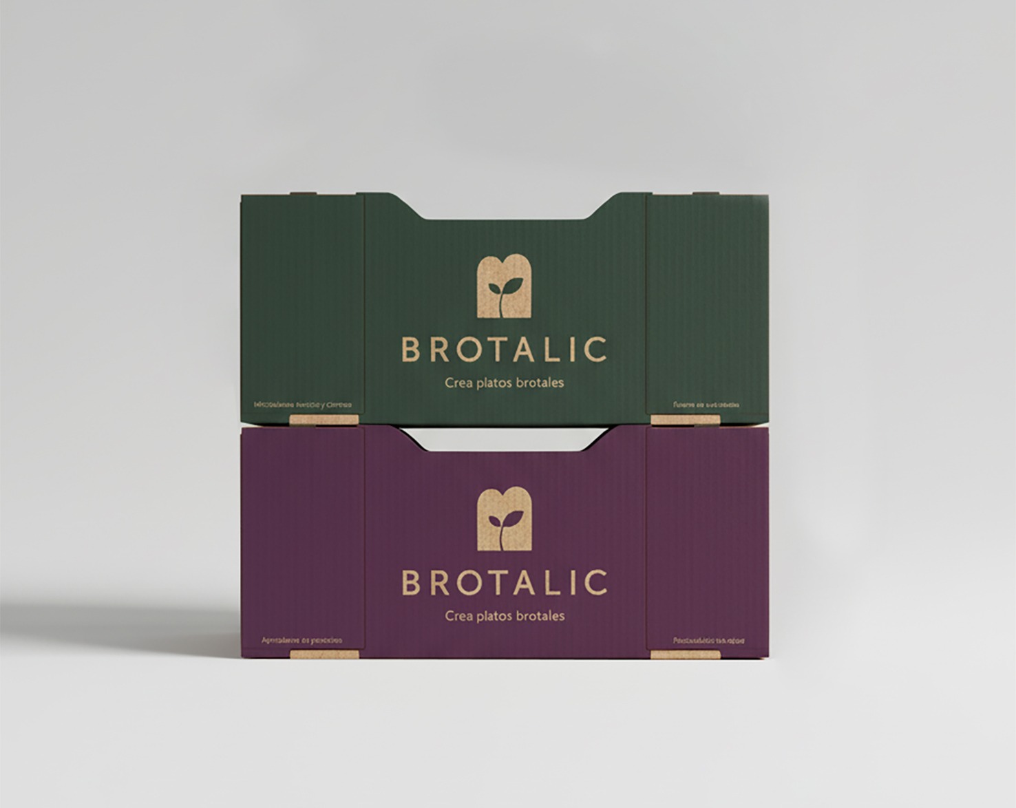 caja logistica ecommerce envios diseño packaging box veralidad studio anuaria word best latampack arcapack ganador oro vista frontal
