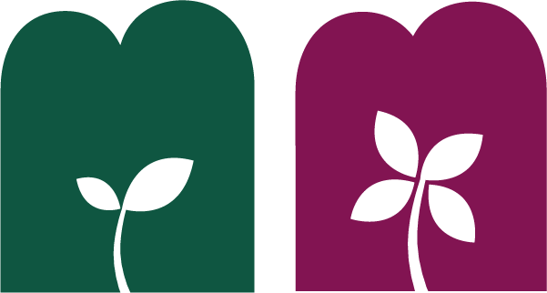 icono brotalic floralic transformacion creacion logotipo rebranding diseño veralidad flor brote 2