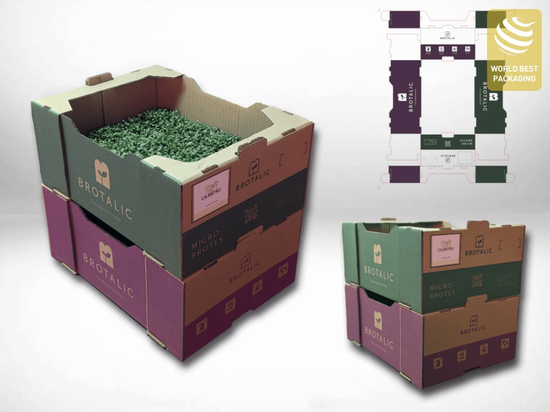 premio ORO world best packaging award veralidad studio brotalic caja box ecommerce envio logistica