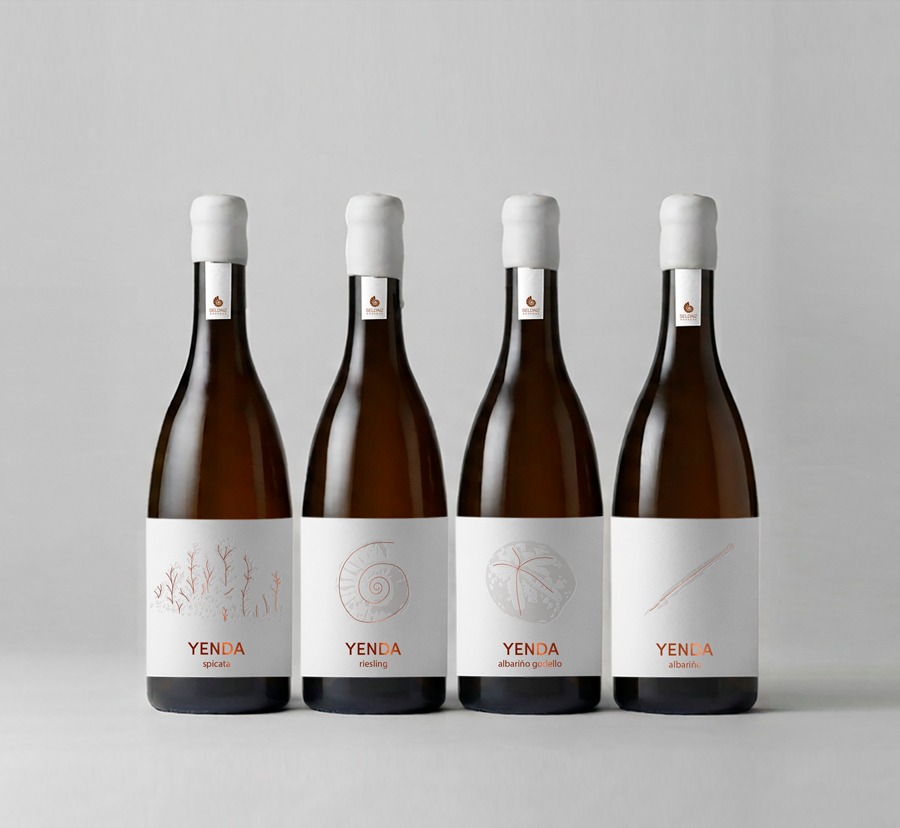 rebranding etiqueta vino yenda bodega sel daiz vino blanco igp costa cantabria veralidad studio diseño rediseño